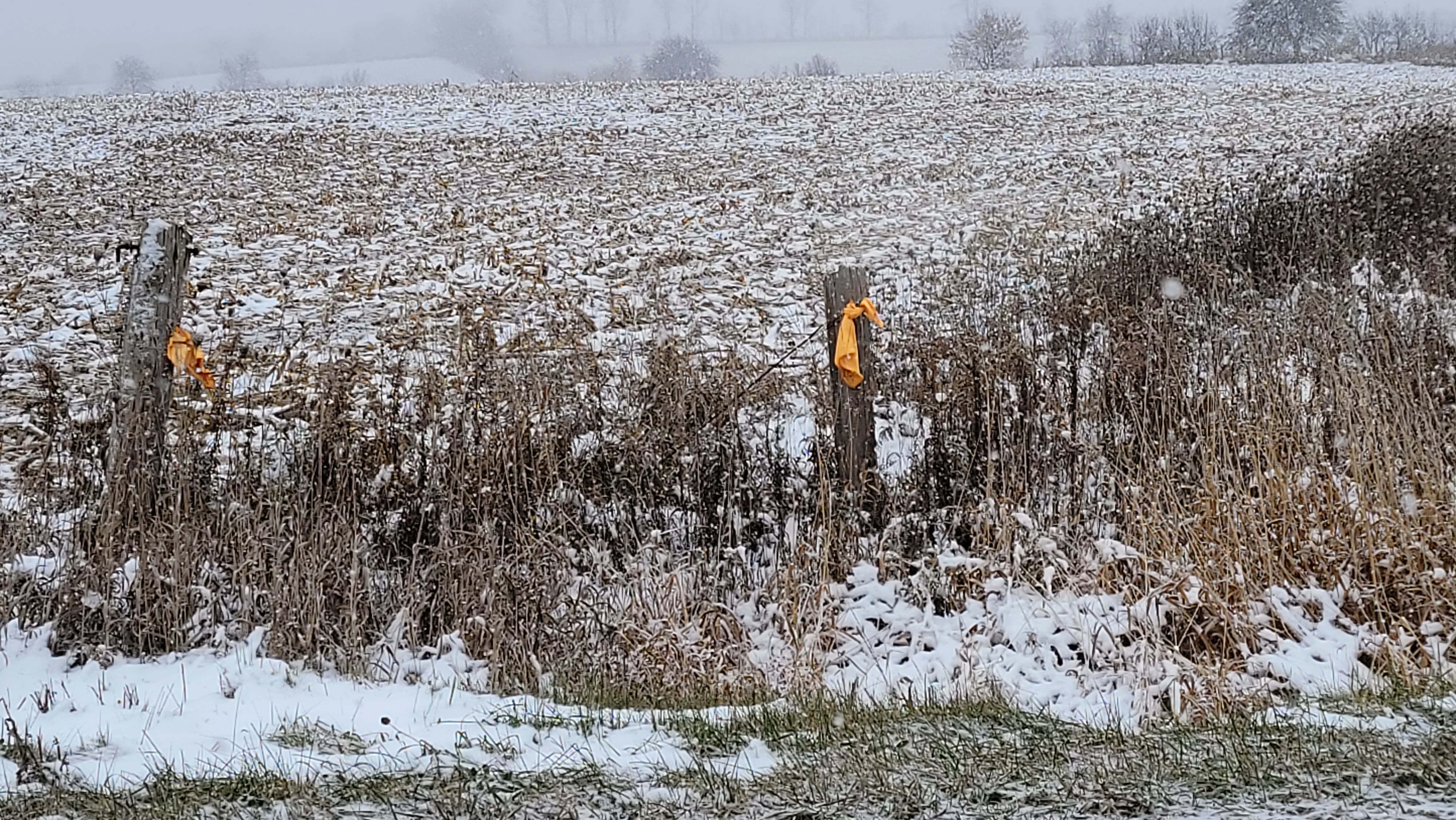 Vacant Land for Place of Worship preview 6